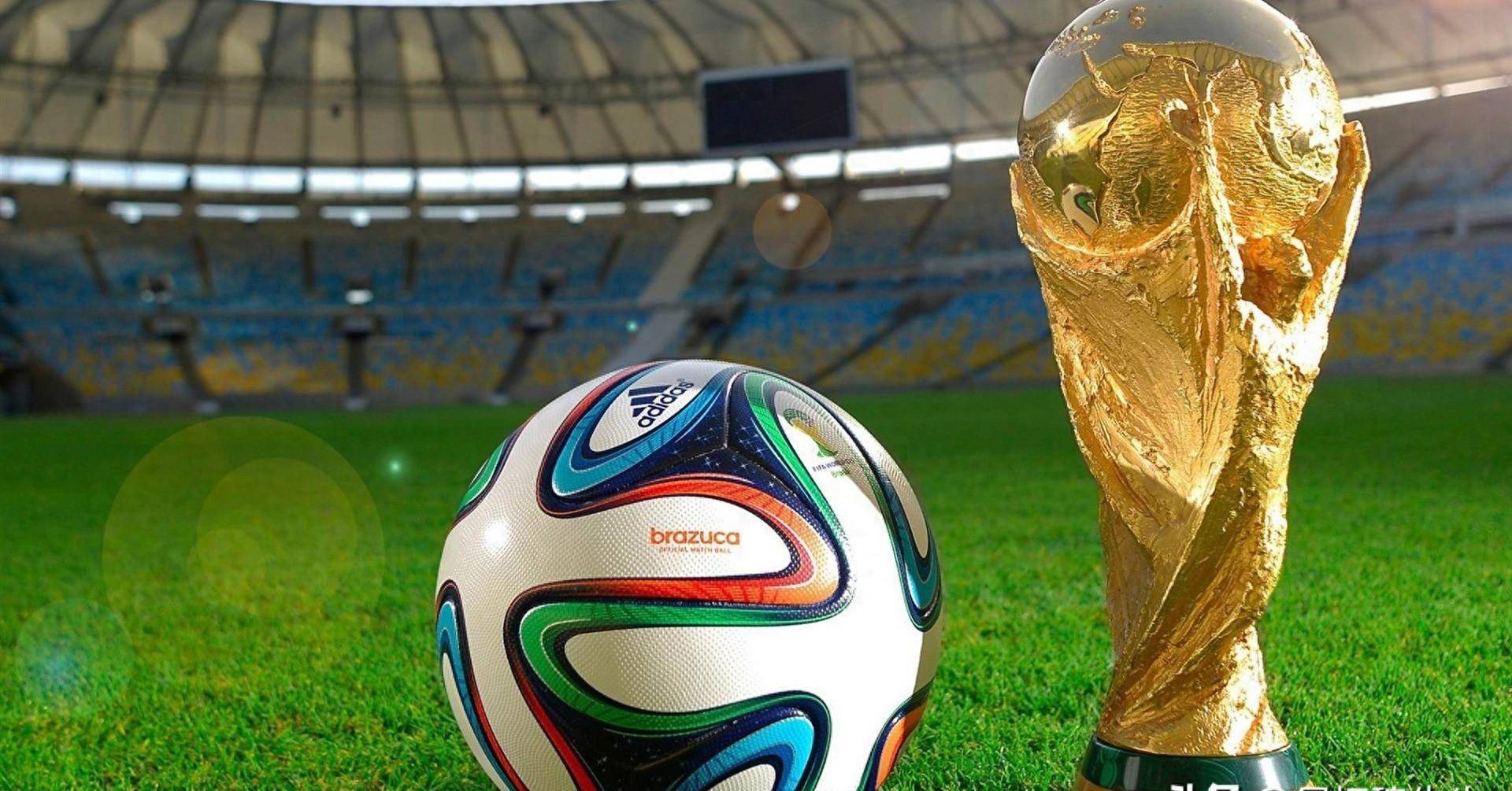 促进运动员 促进运动员