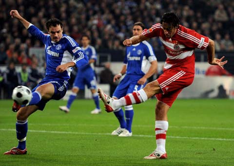 东契奇加盟 东契奇加盟