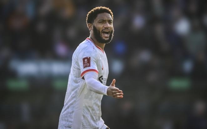 年男篮世界 年男篮世界