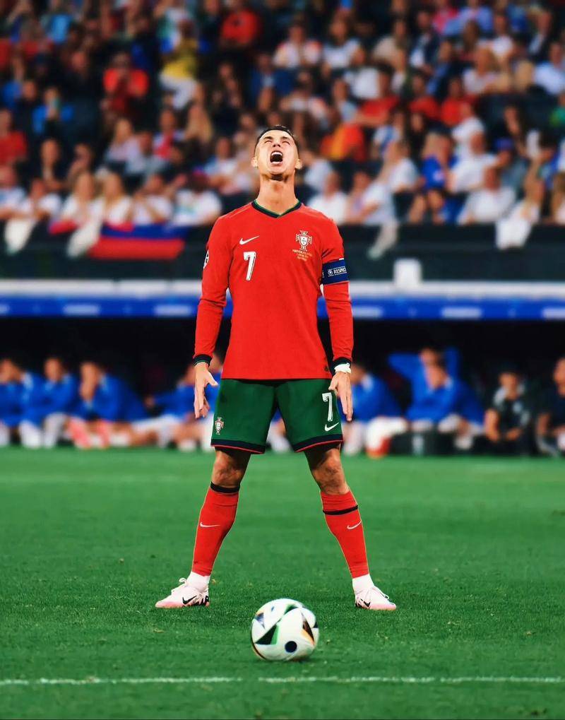 文化交流 文化交流